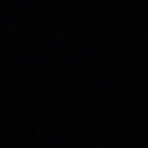 Meet your Posher, Winter